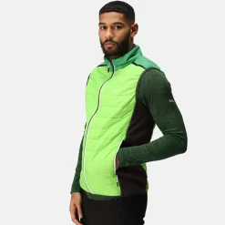 Regatta Halton VII Homme Gilet baffled |<Homme Vestes Sans Manches