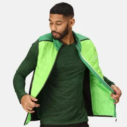 Regatta Halton VII Homme Gilet baffled |<Homme Vestes Sans Manches