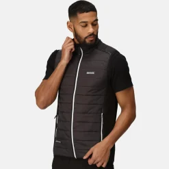 Regatta Halton VII Homme Gilet baffled |<Homme Vestes Sans Manches