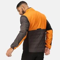 Regatta Halton VII Homme Veste baffled |<Homme Doudounes