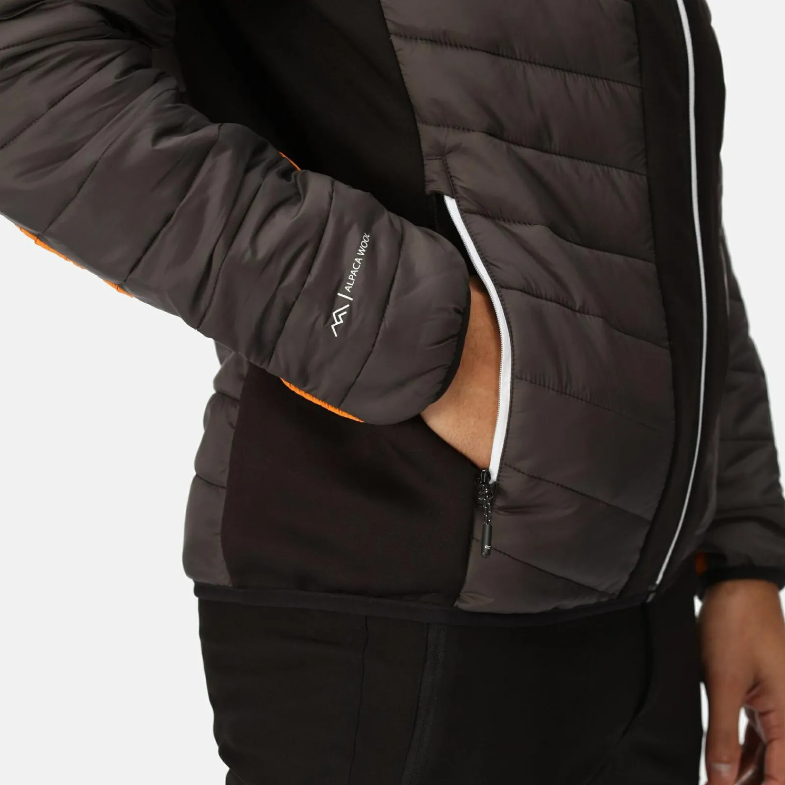Regatta Halton VII Homme Veste baffled |<Homme Doudounes