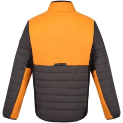 Regatta Halton VII Homme Veste baffled |<Homme Doudounes