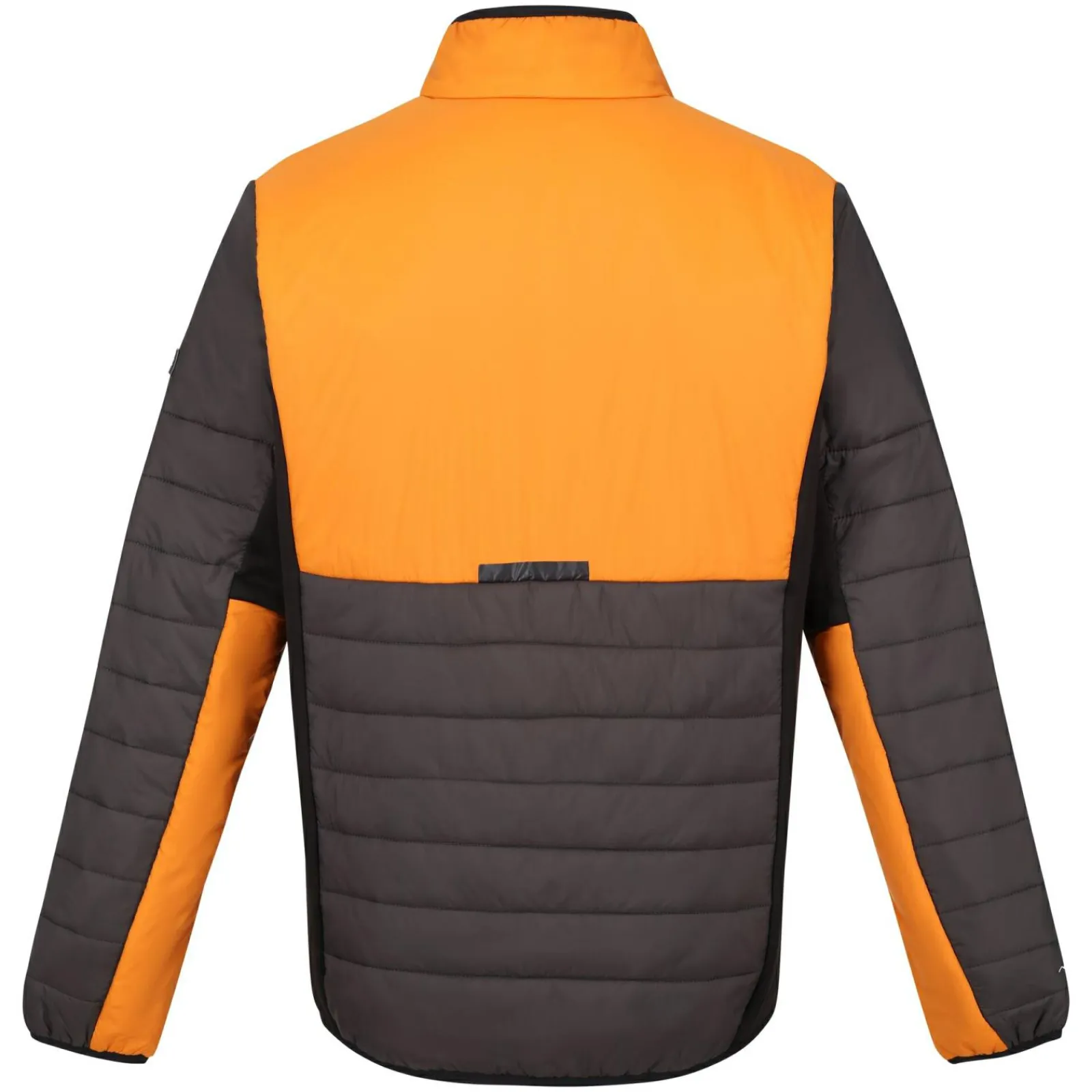 Regatta Halton VII Homme Veste baffled |<Homme Doudounes