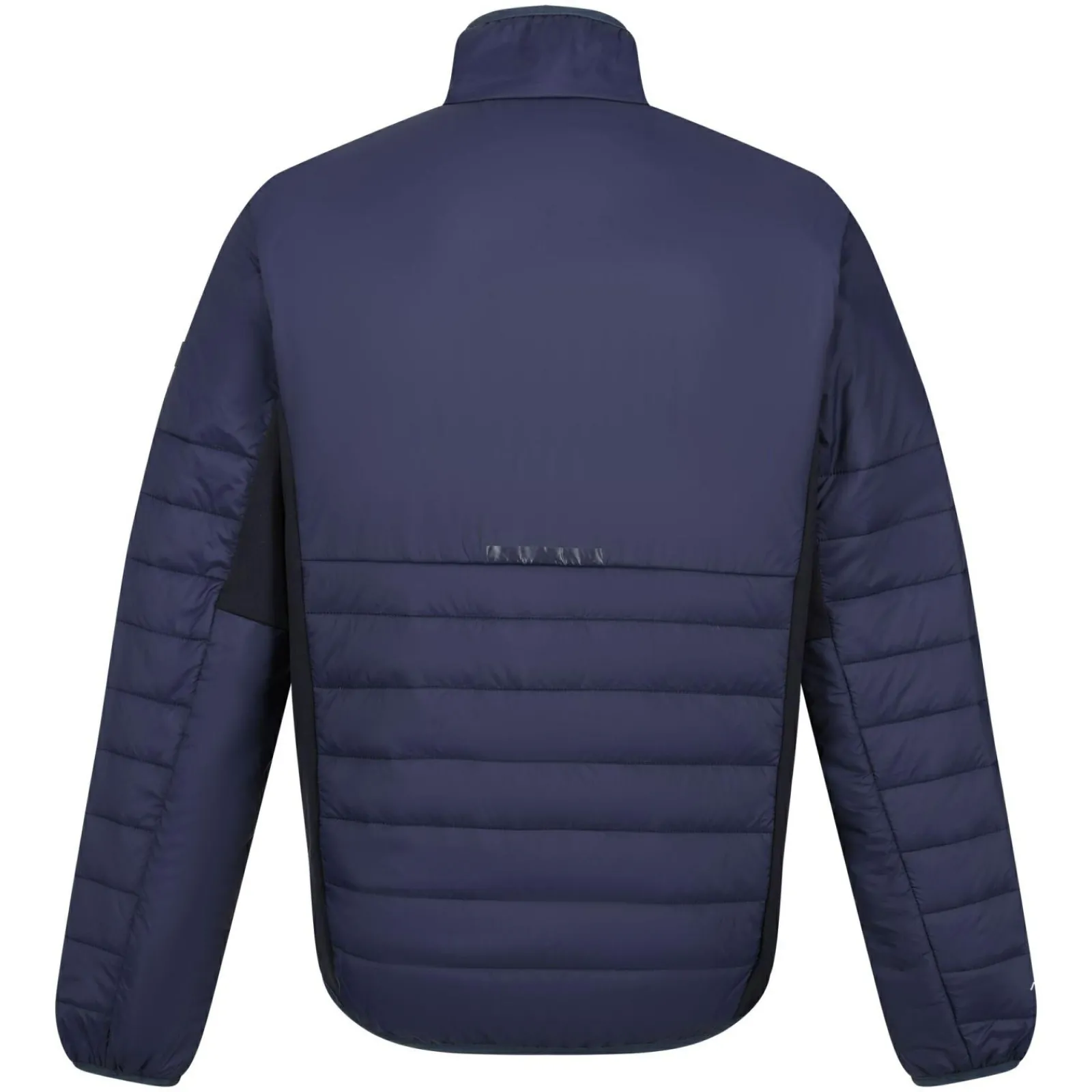 Regatta Halton VII Homme Veste baffled |<Homme Doudounes