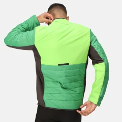 Regatta Halton VII Homme Veste baffled |<Homme Doudounes