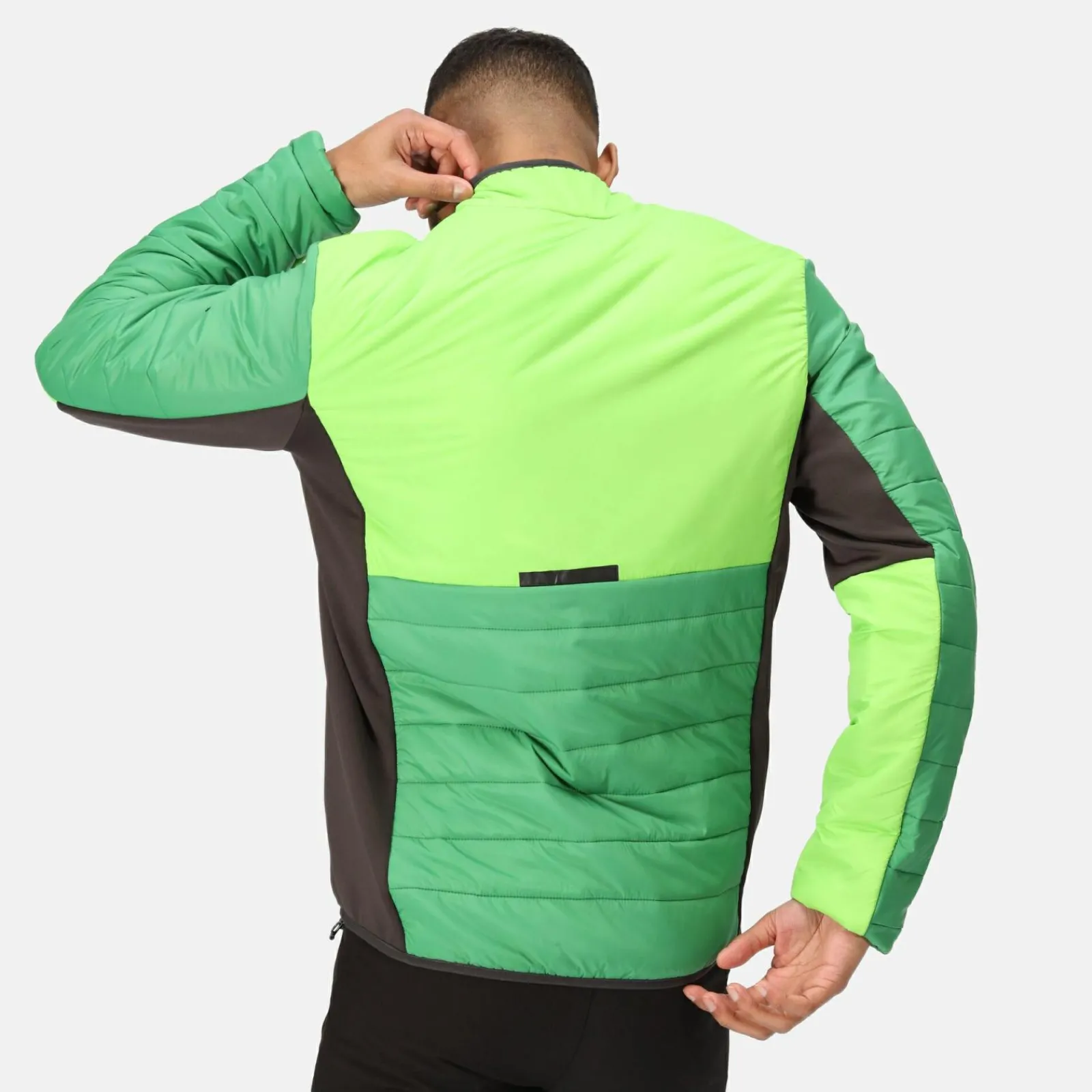 Regatta Halton VII Homme Veste baffled |<Homme Doudounes