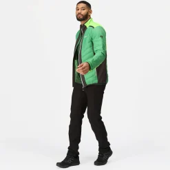 Regatta Halton VII Homme Veste baffled |<Homme Doudounes