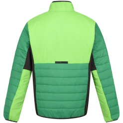 Regatta Halton VII Homme Veste baffled |<Homme Doudounes