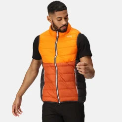 Regatta Harrock II Homme Gilet baffled |<Homme Vestes Sans Manches