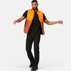 Regatta Harrock II Homme Gilet baffled |<Homme Vestes Sans Manches
