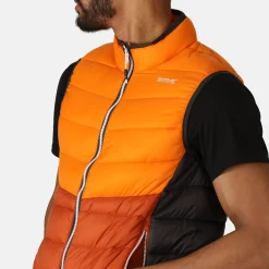 Regatta Harrock II Homme Gilet baffled |<Homme Vestes Sans Manches