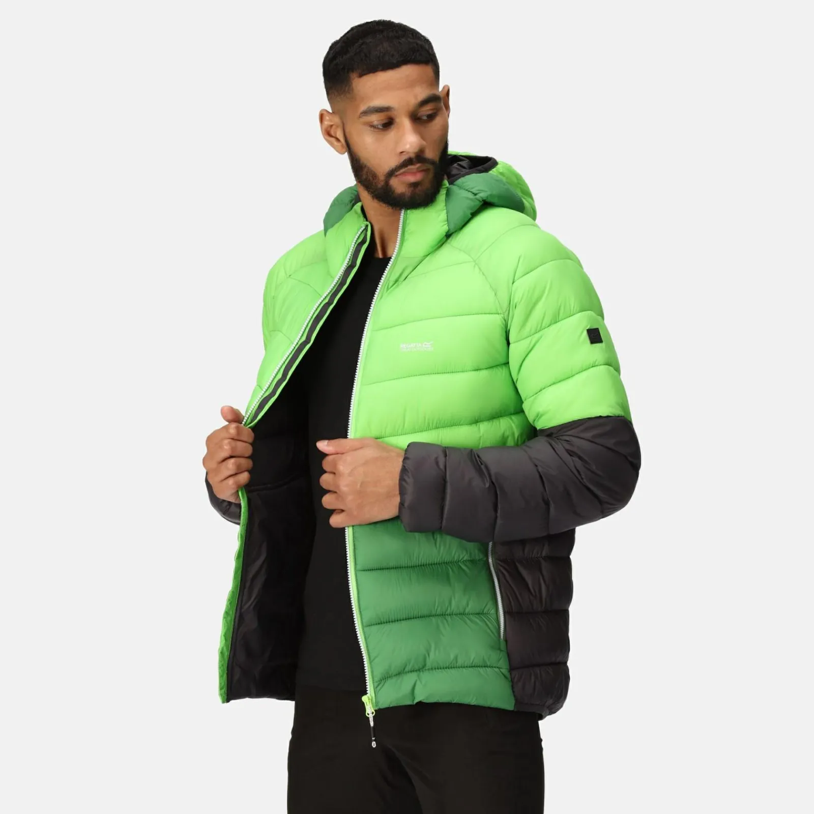Regatta Harrock II Homme Veste baffled |<Homme Doudounes