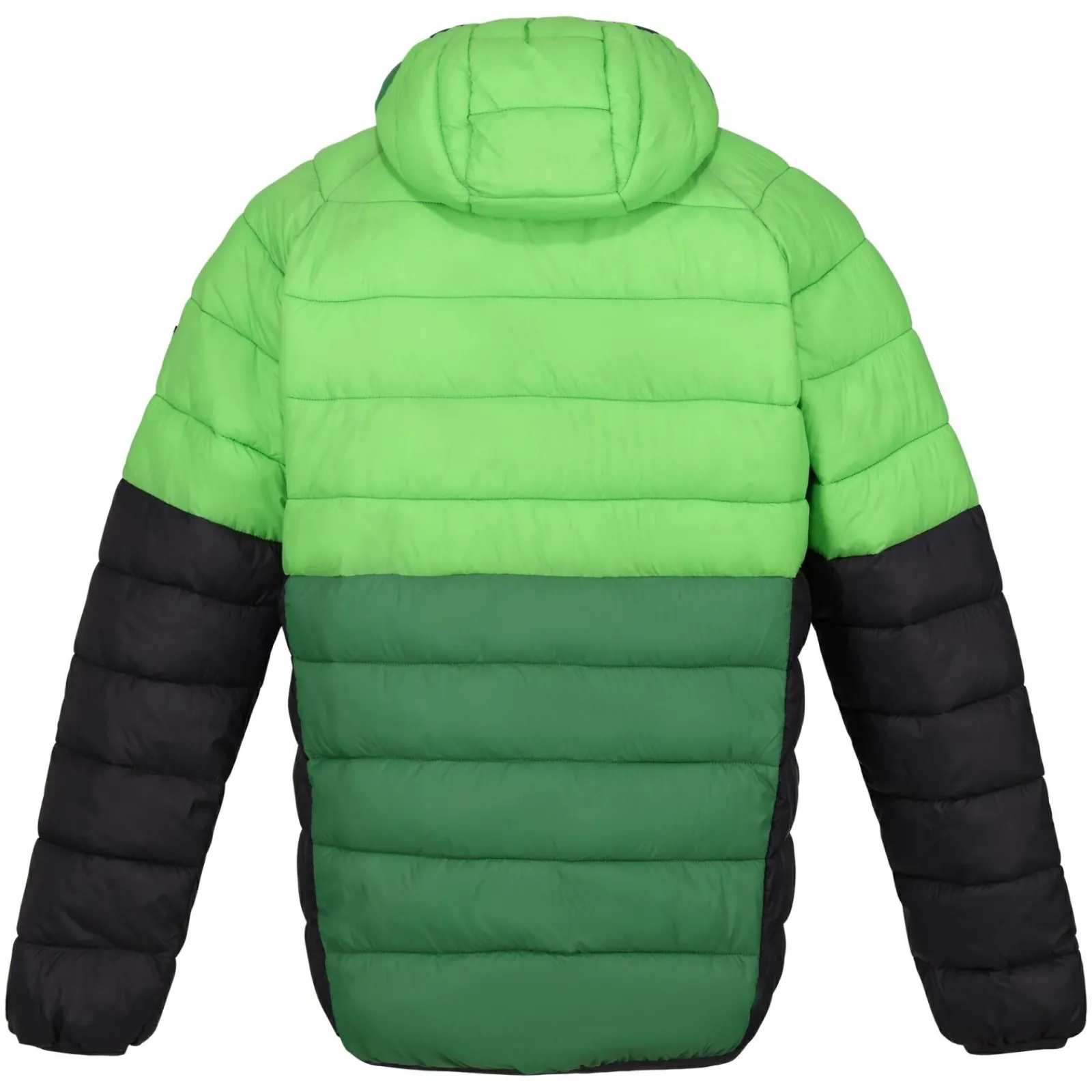 Regatta Harrock II Homme Veste baffled |<Homme Doudounes