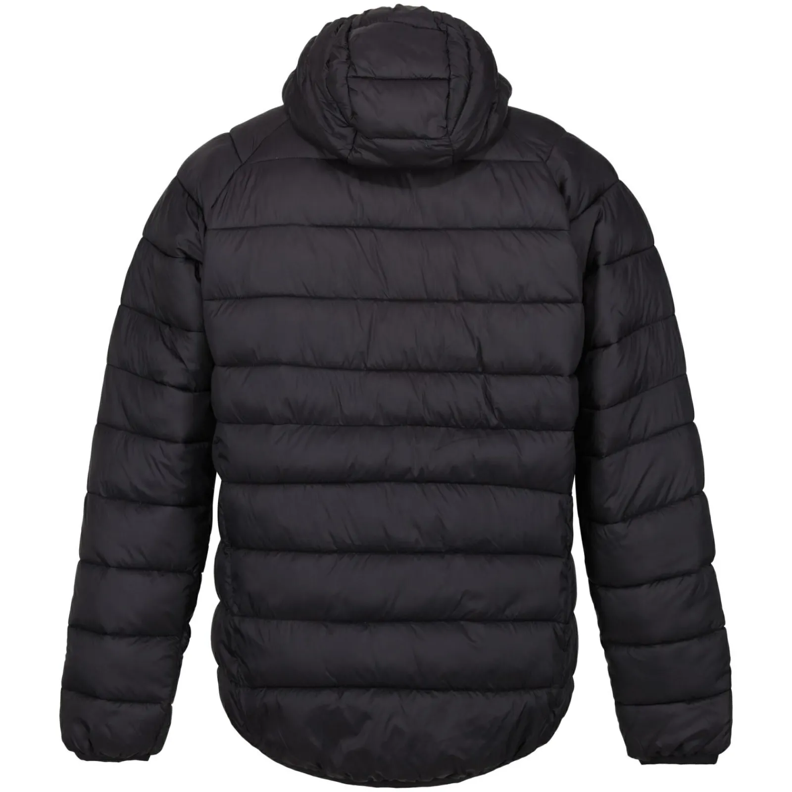 Regatta Harrock II Homme Veste baffled |<Homme Doudounes