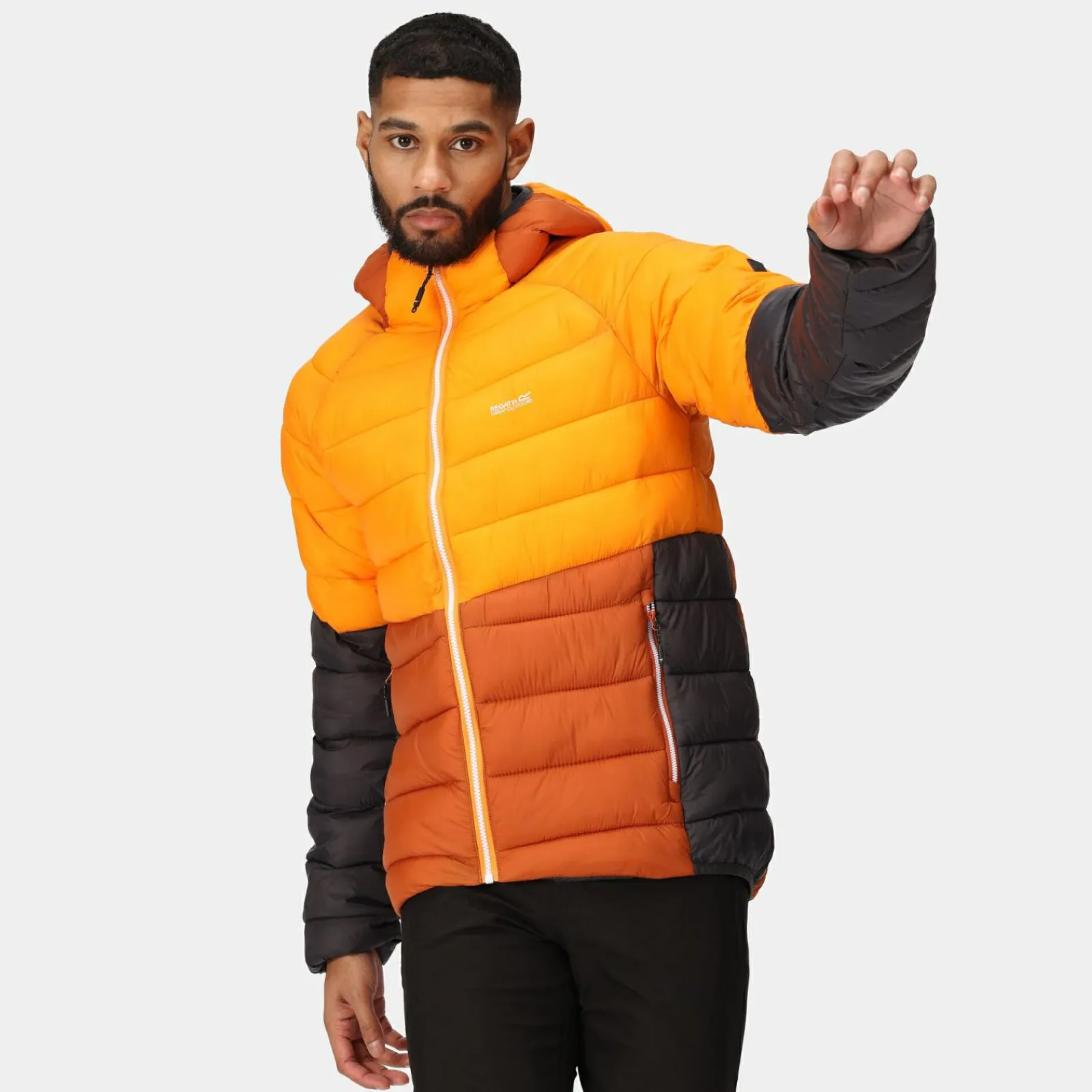 Regatta Harrock II Homme Veste baffled |<Homme Doudounes