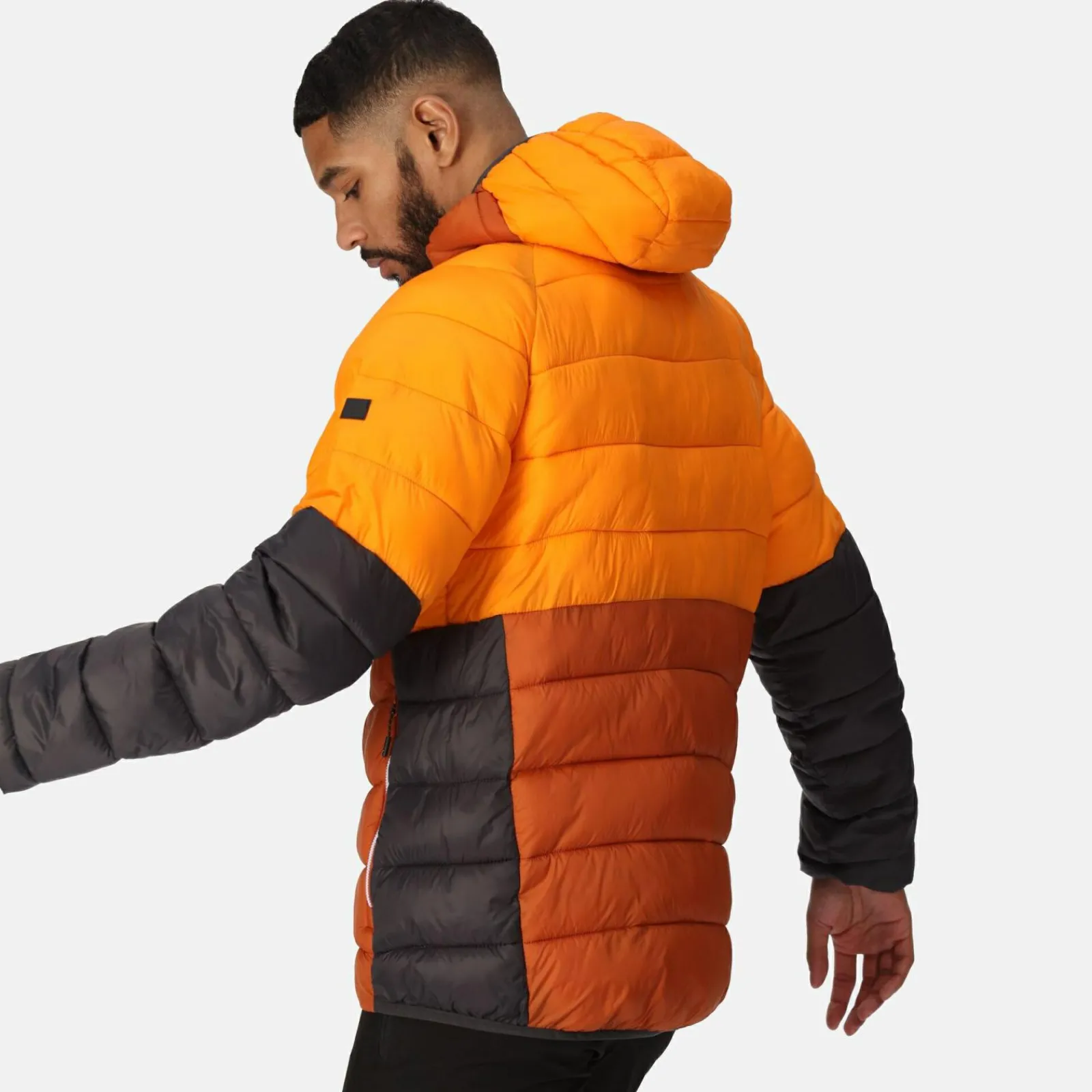 Regatta Harrock II Homme Veste baffled |<Homme Doudounes