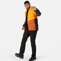 Regatta Harrock II Homme Veste baffled |<Homme Doudounes