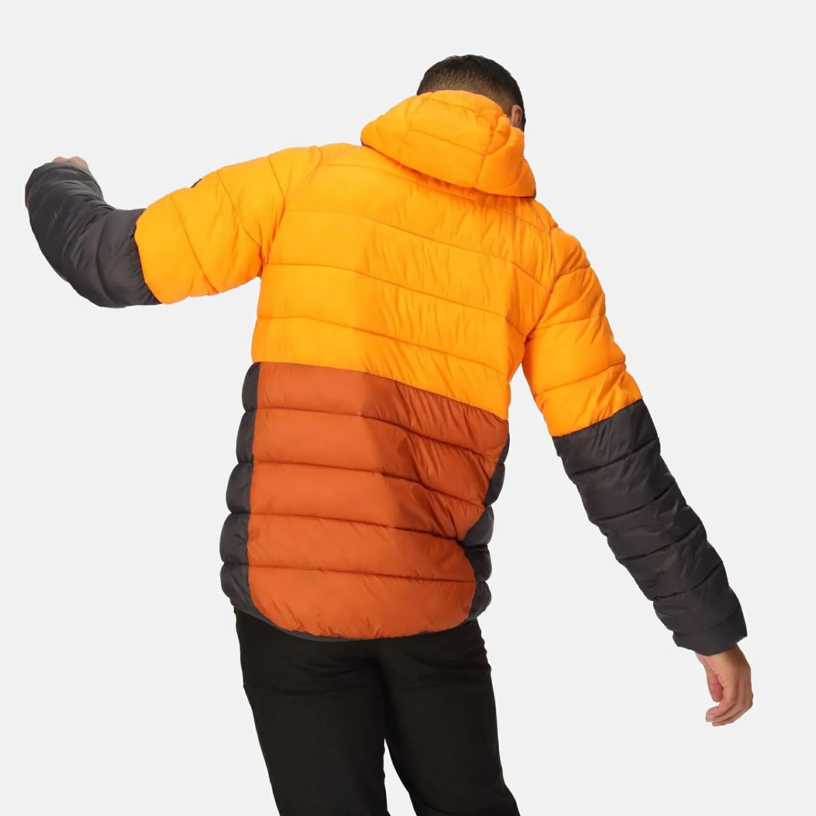 Regatta Harrock II Homme Veste baffled |<Homme Doudounes