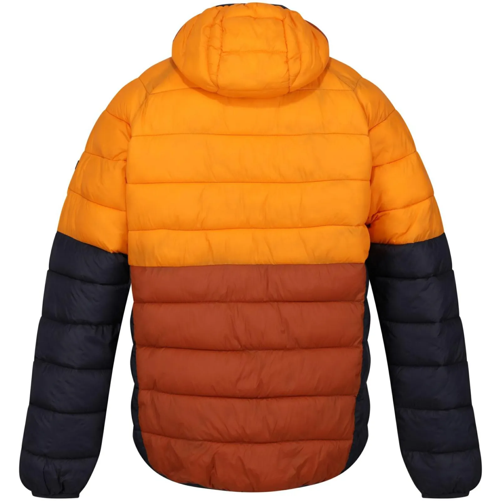 Regatta Harrock II Homme Veste baffled |<Homme Doudounes
