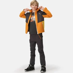 Regatta Haydenbury Enfant Veste softshell |<Enfant Vêtements Garçon|Vestes Softshell
