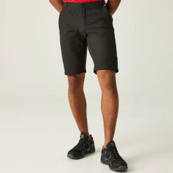 Regatta Highton Long Homme Short de marche |<Homme Shorts