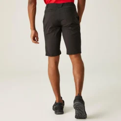 Regatta Highton Long Homme Short de marche |<Homme Shorts