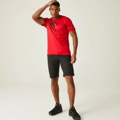 Regatta Highton Long Homme Short de marche |<Homme Shorts