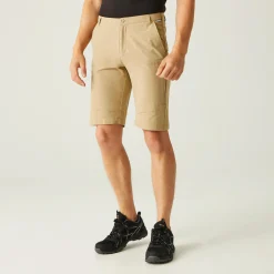 Regatta Highton Long Homme Short de marche |<Homme Shorts