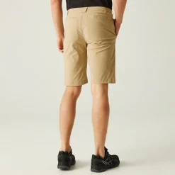 Regatta Highton Long Homme Short de marche |<Homme Shorts