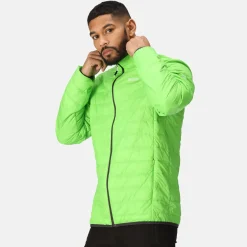 Regatta Hillpack Homme Veste de marche légère matelassée chaude |<Homme Vestes Isolantes