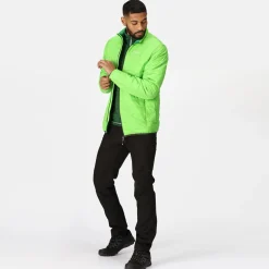 Regatta Hillpack Homme Veste de marche légère matelassée chaude |<Homme Vestes Isolantes
