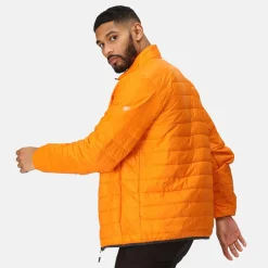 Regatta Hillpack Homme Veste de marche légère matelassée chaude |<Homme Vestes Isolantes