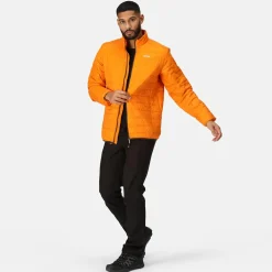 Regatta Hillpack Homme Veste de marche légère matelassée chaude |<Homme Vestes Isolantes