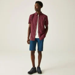Regatta Kalambo VIII Homme Chemise à manches courtes |<Homme/Femme Chemises