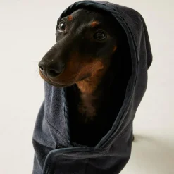 Regatta Manteau de séchage pour chien |< Manteaux Pour Chiens