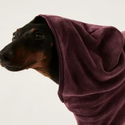 Regatta Manteau de séchage pour chien |< Manteaux Pour Chiens