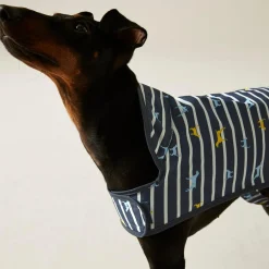 Regatta Manteau imperméable pour chien Arlo avec imprimé |< Manteaux Pour Chiens