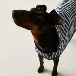 Regatta Manteau imperméable pour chien Arlo avec imprimé |< Manteaux Pour Chiens