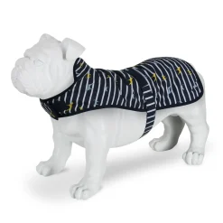 Regatta Manteau imperméable pour chien Arlo avec imprimé |< Manteaux Pour Chiens