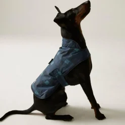 Regatta Manteau imperméable pour chien Arlo avec imprimé |< Manteaux Pour Chiens