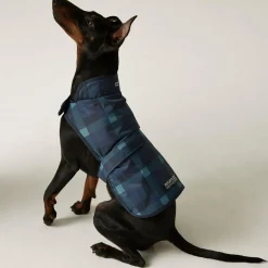 Regatta Manteau imperméable pour chien Arlo avec imprimé |< Manteaux Pour Chiens