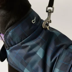 Regatta Manteau imperméable pour chien Arlo avec imprimé |< Manteaux Pour Chiens