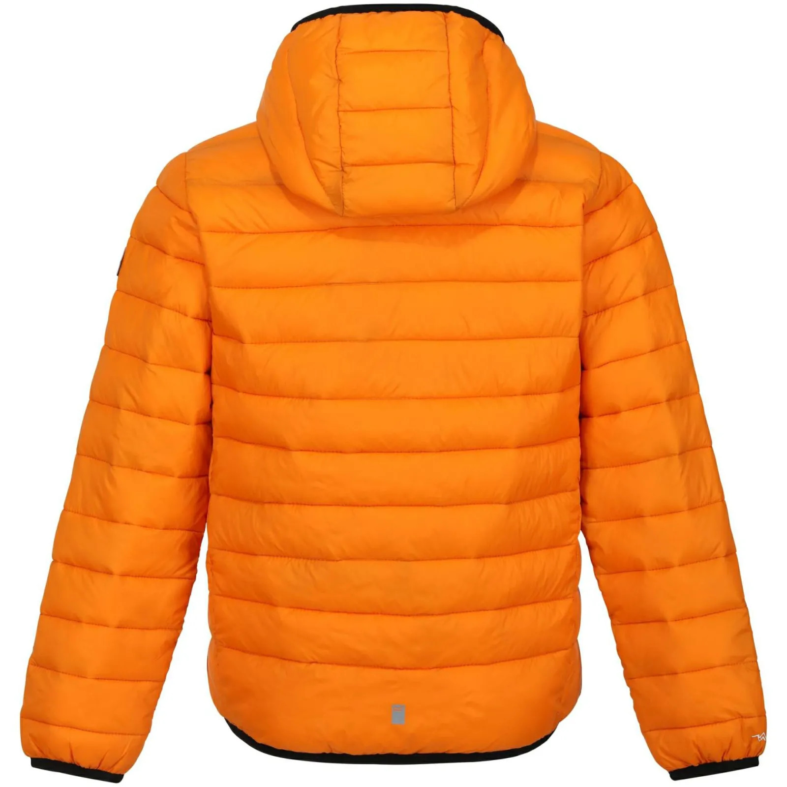 Regatta Marizion Enfant Veste à capuche baffled |<Enfant Vêtements Garçon|Doudoune