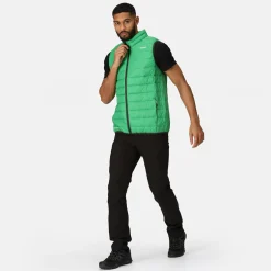 Regatta Marizion Homme Gilet baffled |<Homme Vestes Sans Manches
