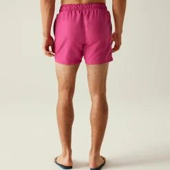 Regatta Mawson II Homme Short de bain |<Homme Shorts