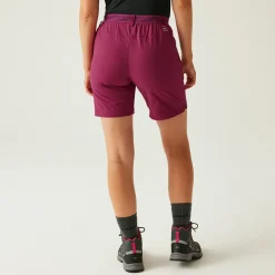 Regatta Mountain II Femme Short de marche |<Femme Shorts