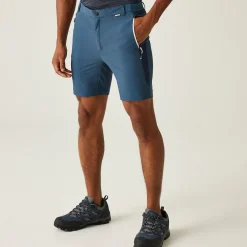Regatta Mountain II Homme Short de marche |<Homme Shorts
