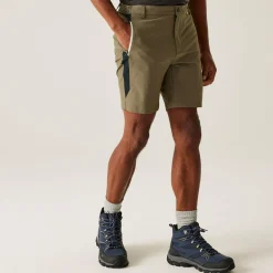 Regatta Mountain II Homme Short de marche |<Homme Shorts