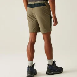Regatta Mountain II Homme Short de marche |<Homme Shorts