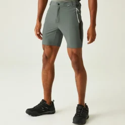 Regatta Mountain II Homme Short de marche |<Homme Shorts